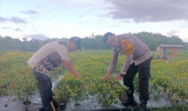 Guna-Mensukseskan-Program-ASTA-CITA,-Kapolres-Sumba-Timur-Kunjungi-Balai-Benih-Utama-Lewa