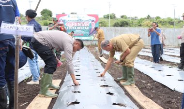 Polri-Serentak-Tanam-Jagung-1-Juta-Hektar,-Polres-Sumba-Timur-Ikut-Sukseskan-Swasembada-Pangan