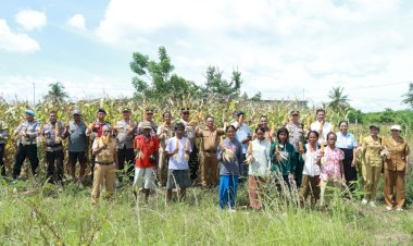 Dukung-Swasembada-Pangan,-Polres-Sumba-Timur-Gelar-Panen-Raya-Jagung-Bersama-Kelompok-Tani-Luri-Mandang