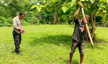 Wujudkan-Program-Nasional,-Polres-Sumba-Timur-Dorong-Kemandirian-Pangan-Lewat-Penanaman-Jagung