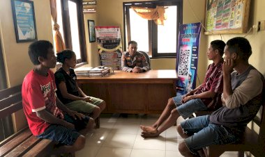 Kasus-Ternak-Rusak-Tanaman-di-Pinupahar-Diselesaikan-Secara-Kekeluargaan