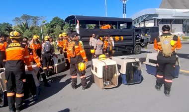 Misi-Kemanusiaan-Gempa-Flores,-Personel-Mabes-Polri-dan-10-K-9-Tiba-di-Ngada