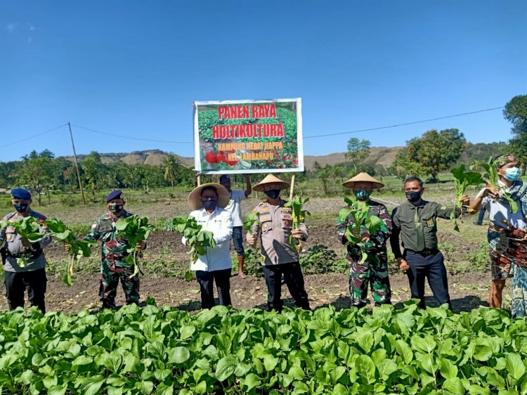 Launcing Kampung Hebat Happa Lambanapu Ditandai Dengan Panen Hasil Kebun