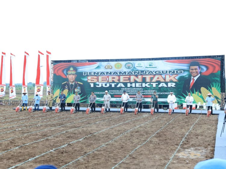 Kementan dan Polri Mantapkan Sinergi Menuju Swasembada Jagung 2025, Targetkan 4 Juta Ton Produksi Tambahan