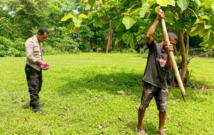 Wujudkan Program Nasional, Polres Sumba Timur Dorong Kemandirian Pangan Lewat Penanaman Jagung