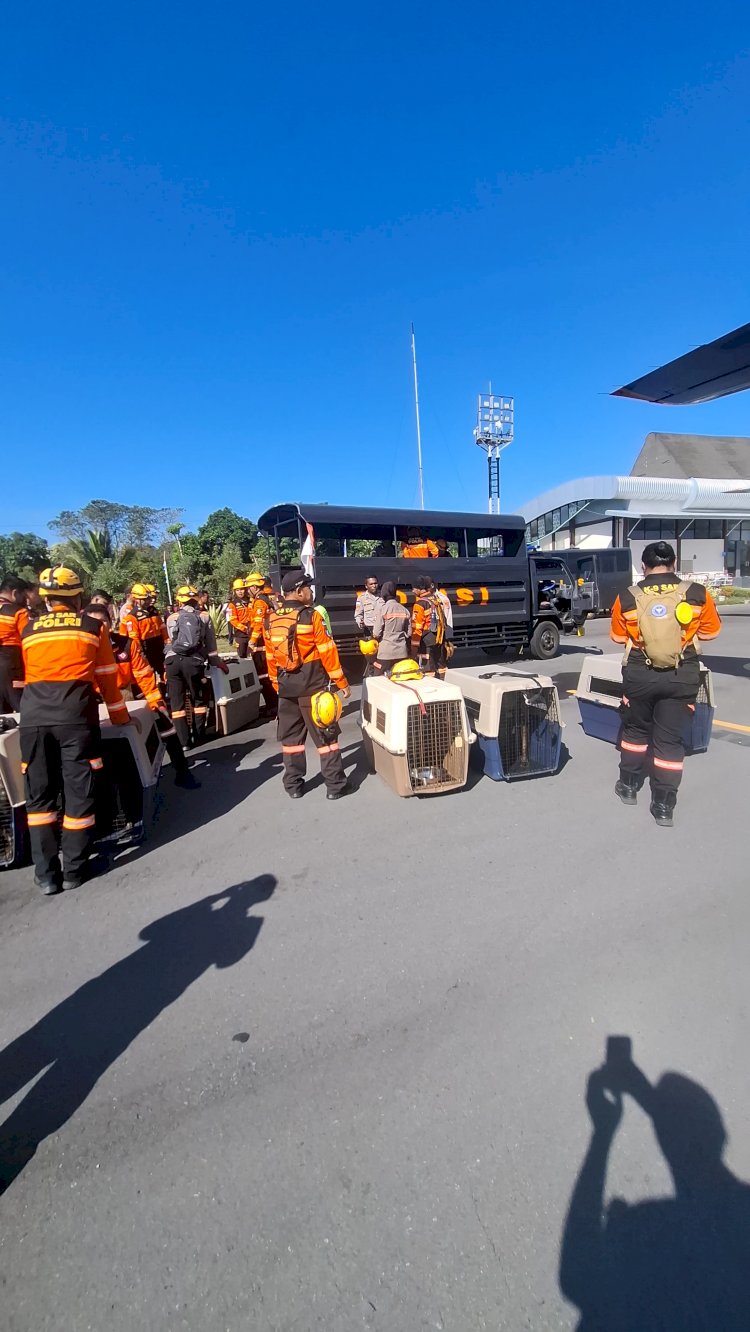 Misi Kemanusiaan Gempa Flores, Personel Mabes Polri dan 10 K-9 Tiba di Ngada