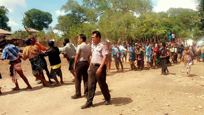 Polsek Haharu Amankan Acara Ritual Adat Tarik Batu Kubur