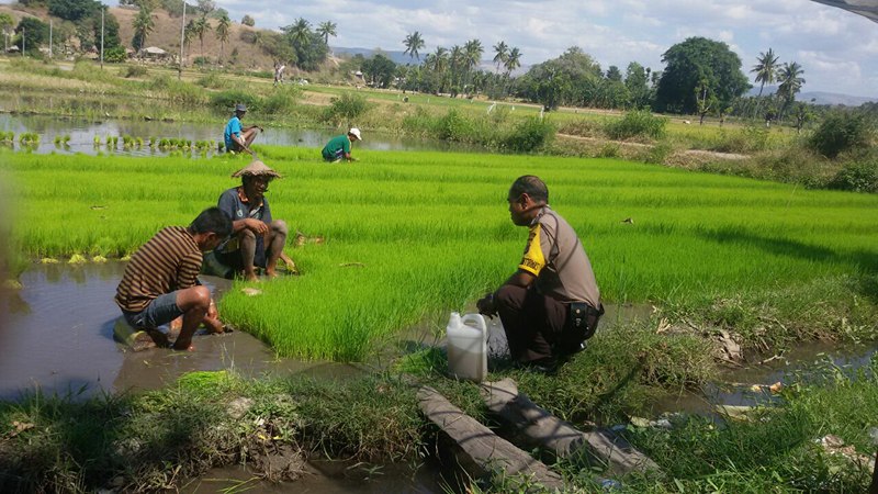 Sambangi Petani, Bhabinkamtibmas Mauliru Beri Motifasi