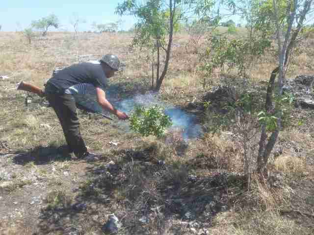 Dengan Alat Seadanya, Polsek Umalulu Sumba Timur Memadamkan Kebakaran Padang Rumput Laikora