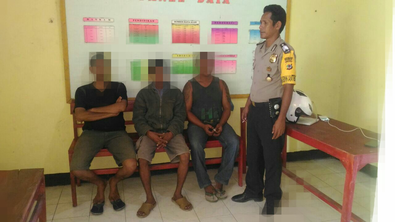 Bawa Hewan Dengan Dokumen Palsu Oknum Pol PP Diamankan Polsek Pandawai Dan Bhabinkamtibmas Watumbaka