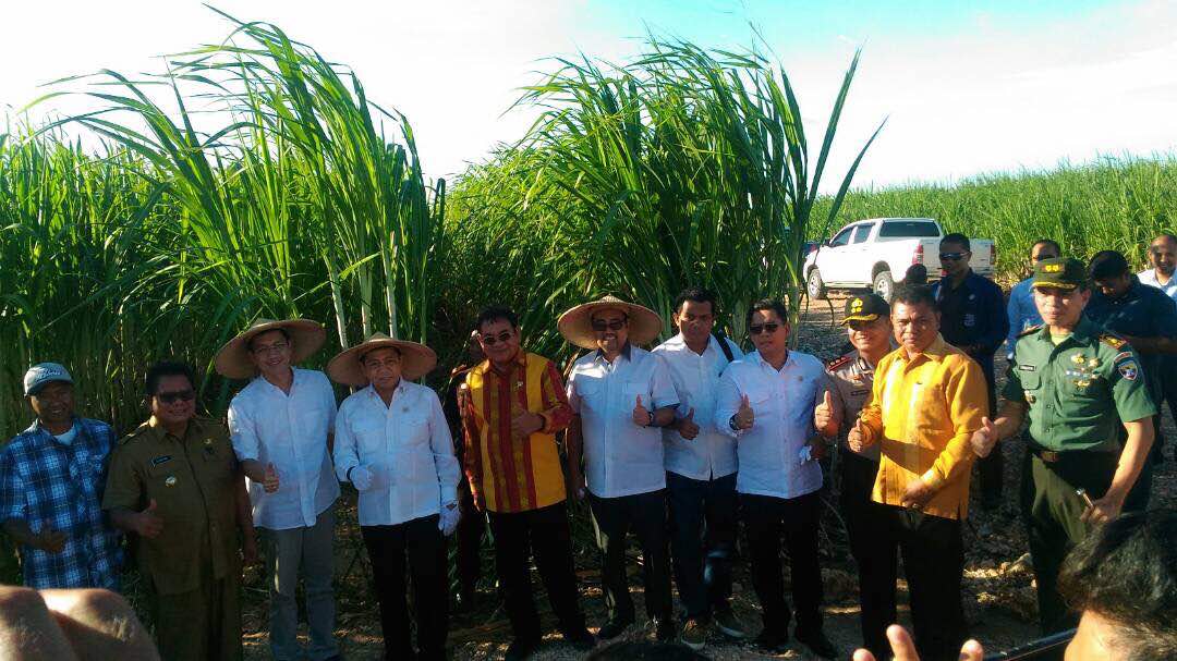 Ketua DPR RI kunker di Kabupaten Sumba Timur tinjau lokasi perkebunan tebu