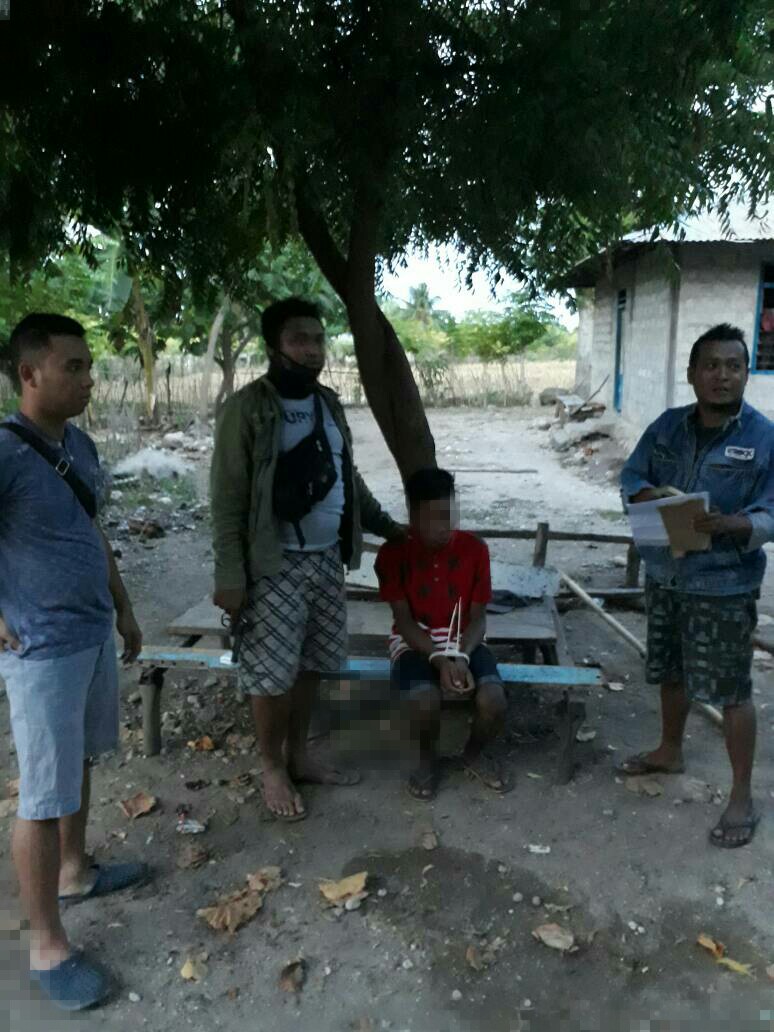 Dipimpin langsung Kasat Reskrim Polres Sumba Timur, DPO kasus pemerkosaan anak dibawah umur berhasil dibekuk