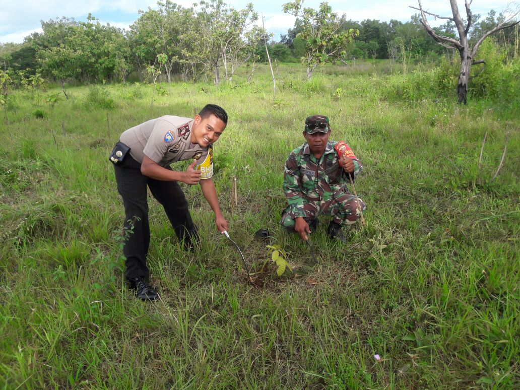 Bersama Babinsa dan Pramuka, Brigpol Paul Dimu Laksanakan Kegiatan Peduli Lingkungan Hidup