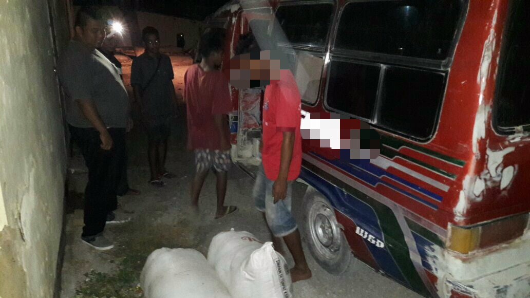 Satresnarkoba Polres Sumba Timur Gagalkan Ratusan Liter Pineraci Yang Hendak Dibawa Ke Sumba Barat